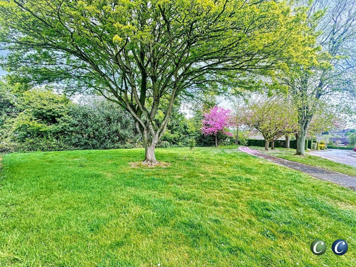 Images for Riders Way, Rugeley, WS15 2LZ